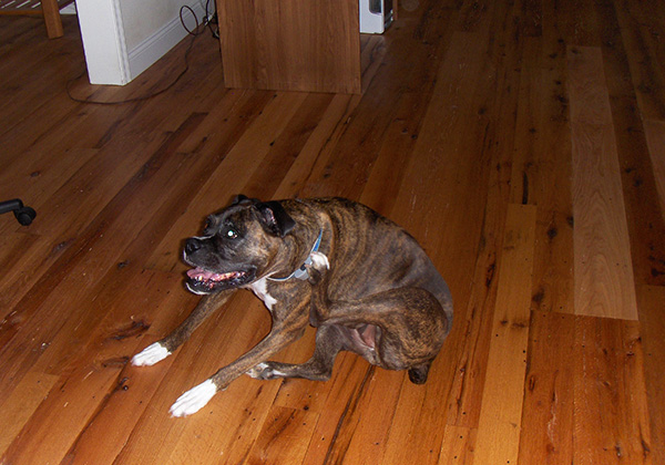 Red Oak flooring, remilled from log house and barn timbers.